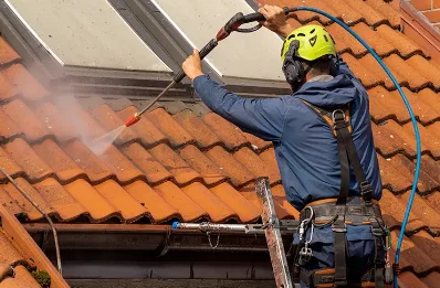 Démoussage et hydrofuge de toiture à Mortagne